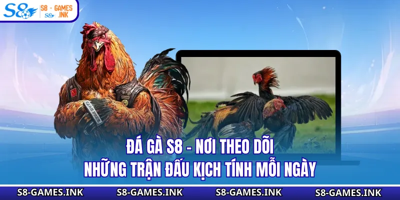 Đá Gà S8 - Nơi Theo Dõi Những Trận Đấu Kịch Tính Mỗi Ngày
